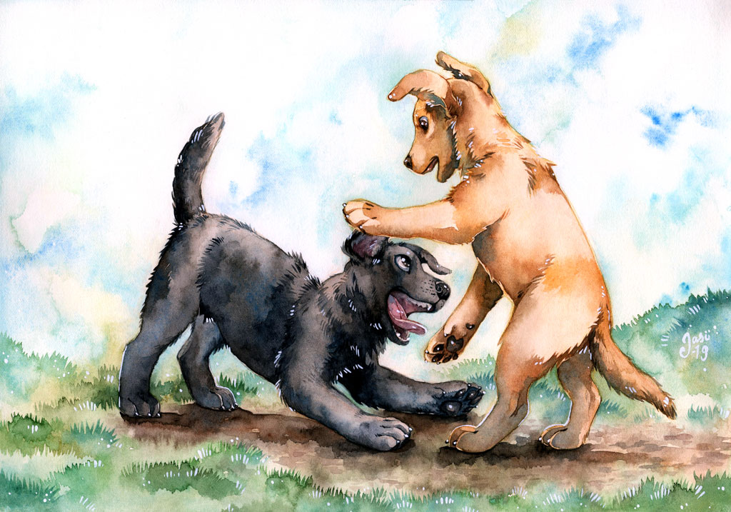 Print - Playful Puppies